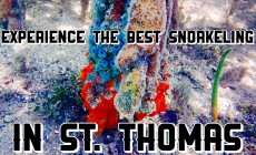 Experience the Best Snorkeling in St. Thomas