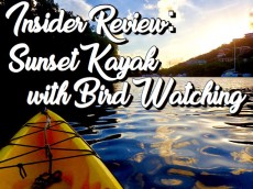Insider Review : St Thomas Sunset Kayak with Bird Watching