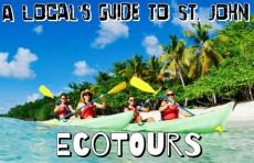A Local's Guide to St. John Ecotours