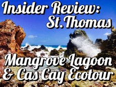 Insider Review: St. Thomas Mangrove Lagoon and Cas Cay Ecotour