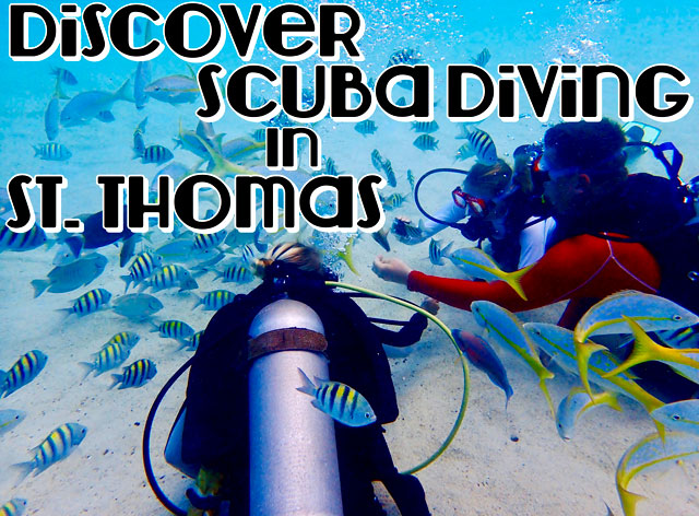 Discover Scuba Diving in St Thomas
