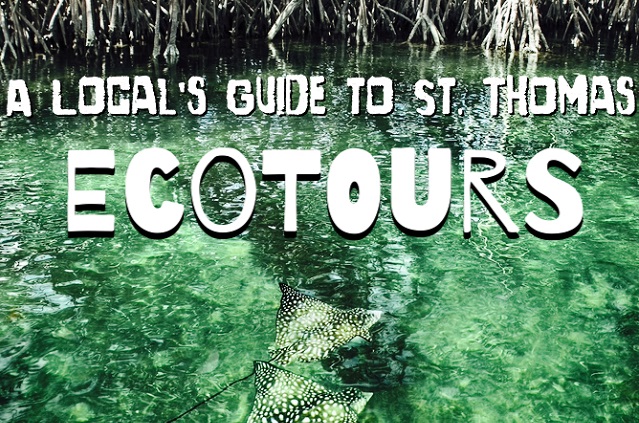 A Local's Guide to St. Thomas: Ecotours