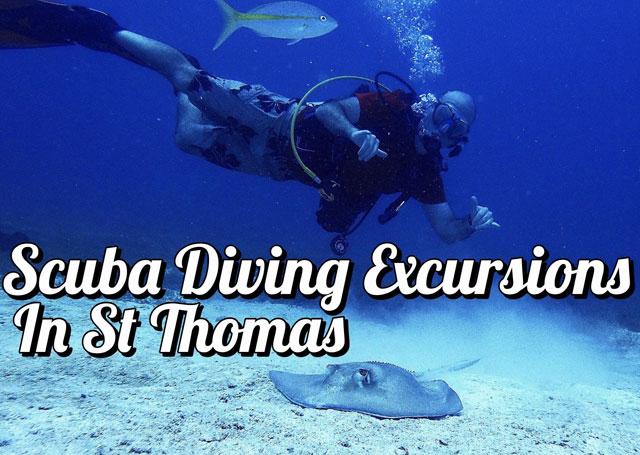 Scuba Diving Excursions in St. Thomas