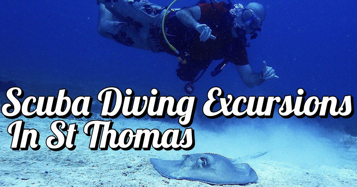Scuba Diving Excursions In St. Thomas