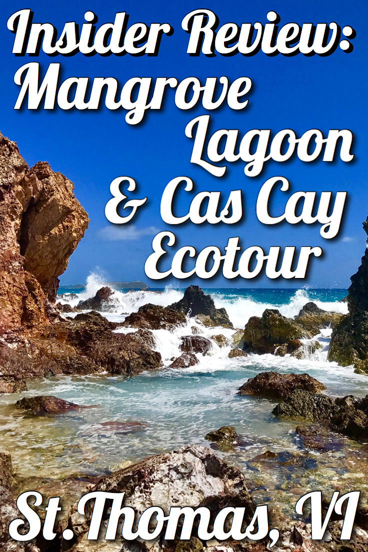 Insider Review: St. Thomas Mangrove Lagoon and Cas Cay Ecotour