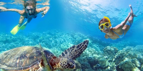 Half-Day Snorkeling and Sailing Tours in St. Thomas