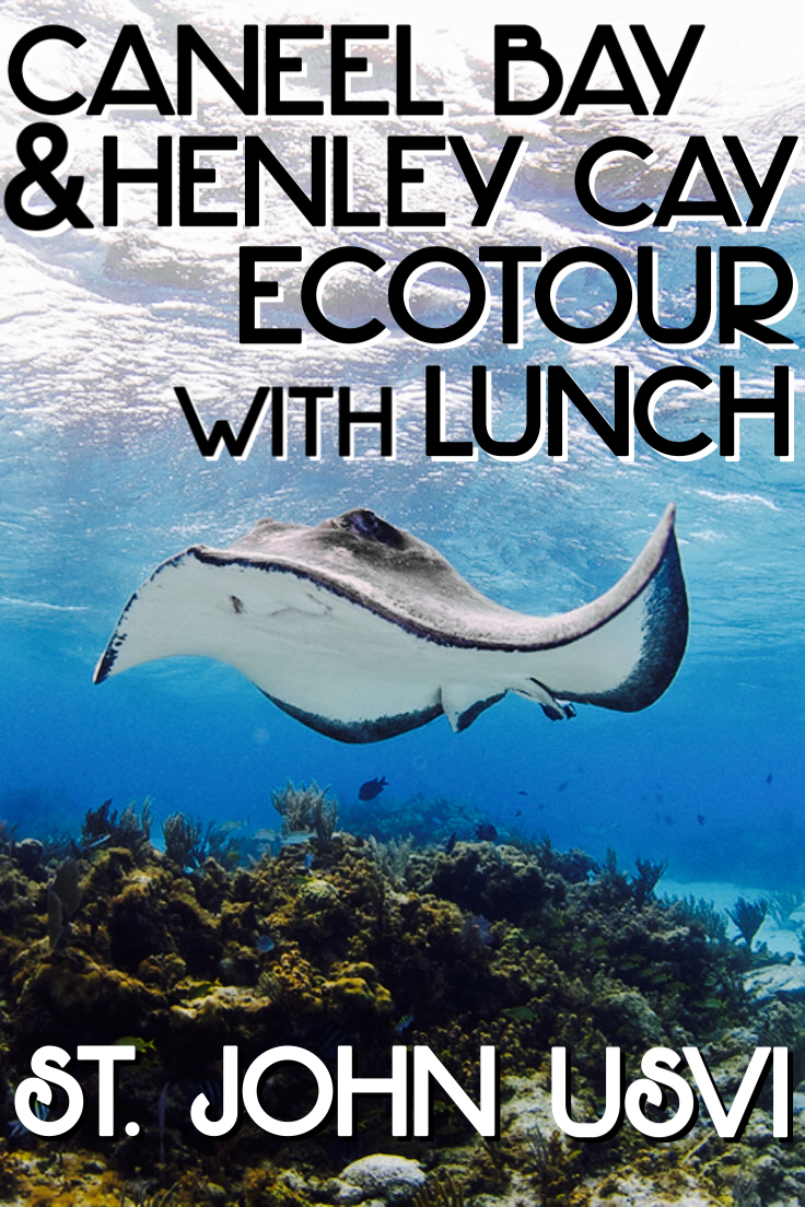 Caneel Bay and Henley Cay Ecotours with Lunch