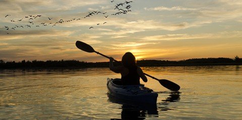 Kayak Ecotour: Bird Island and St. Thomas’ Mangrove Lagoon