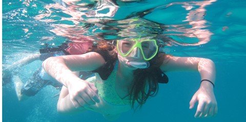 St. Thomas Mangrove Lagoon Snorkeling and Kayaking Tour