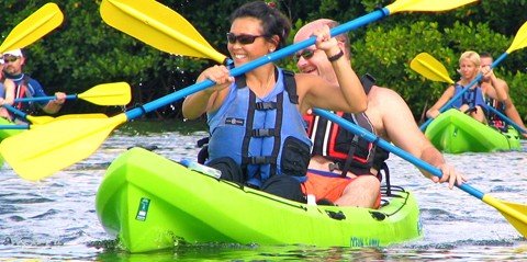 thomas st snorkeling spots choosing mangrove cay ecotours cas lagoon