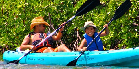 St. Thomas Mangrove Lagoon Snorkeling and Kayaking Tour