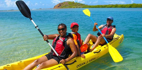 Ecotour and Lunch - St. Thomas Mangrove Lagoon and Cas Cay