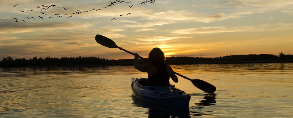 Sunset Kayaking with Bird Watching in St Thomas