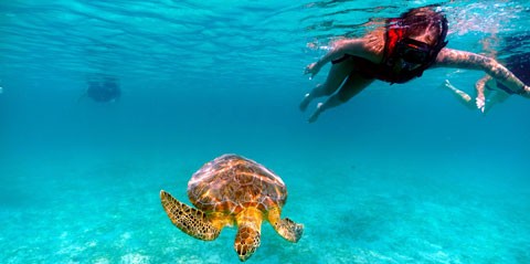 honeymoon watersports package beach st kayak cay snorkel excursion coral