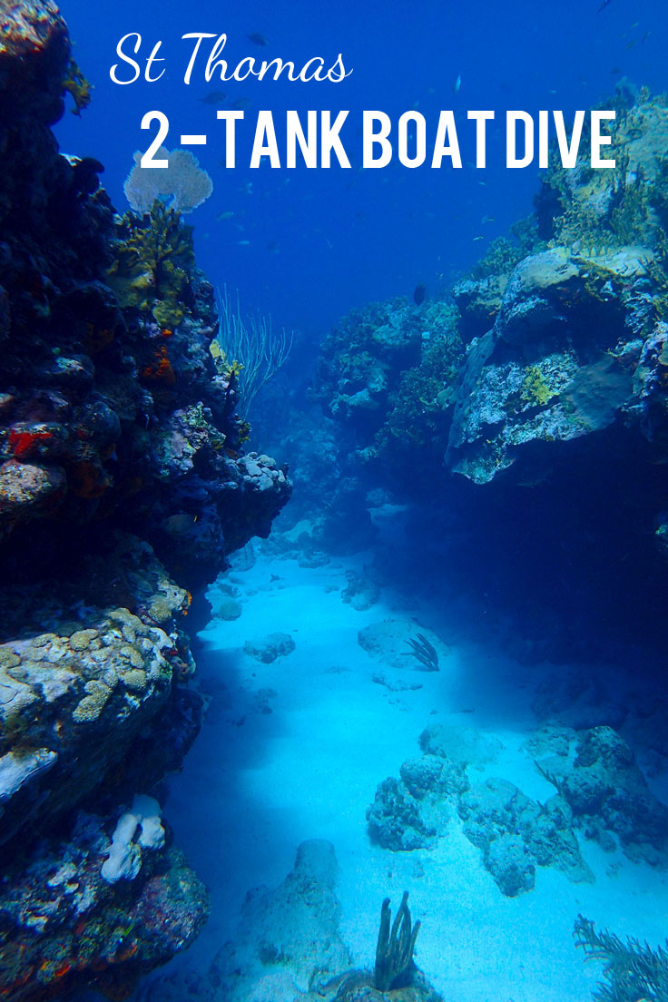 Scuba Diving St. Thomas: 2-Tank Morning Boat Dive