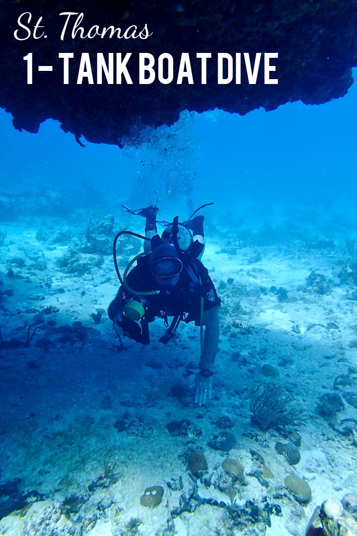Scuba Diving St. Thomas 1Tank Afternoon Boat Dive