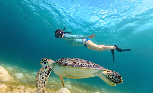 Discover the crystal clear waters and beautiful sea creatures by experiencing St John Snorkeling