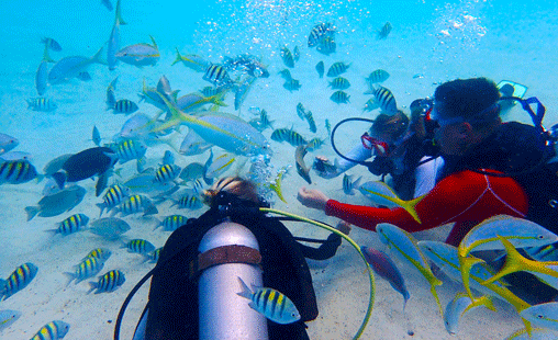 St Thomas Scuba Diving